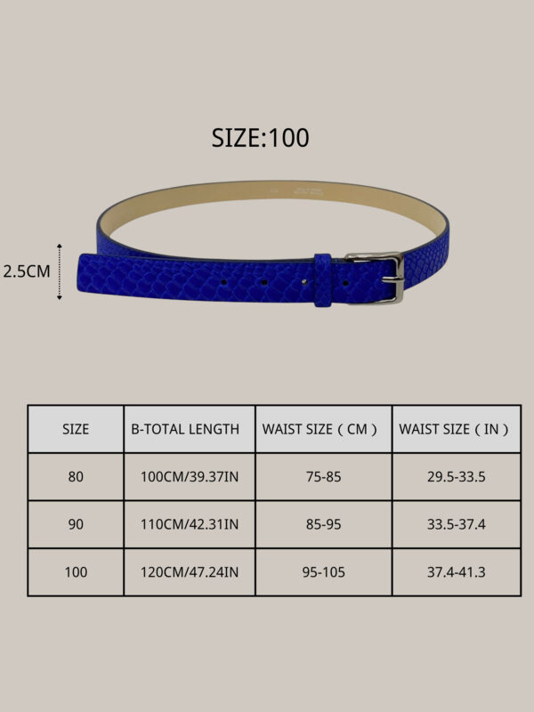 Cinturón de Piel para Mujer Azul con Hebilla Plateada – Hecho en Italia – Modelo C103 | Venta al por Mayor - Image 3