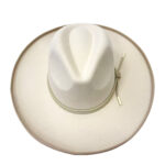 Sombrero Fedora CT610